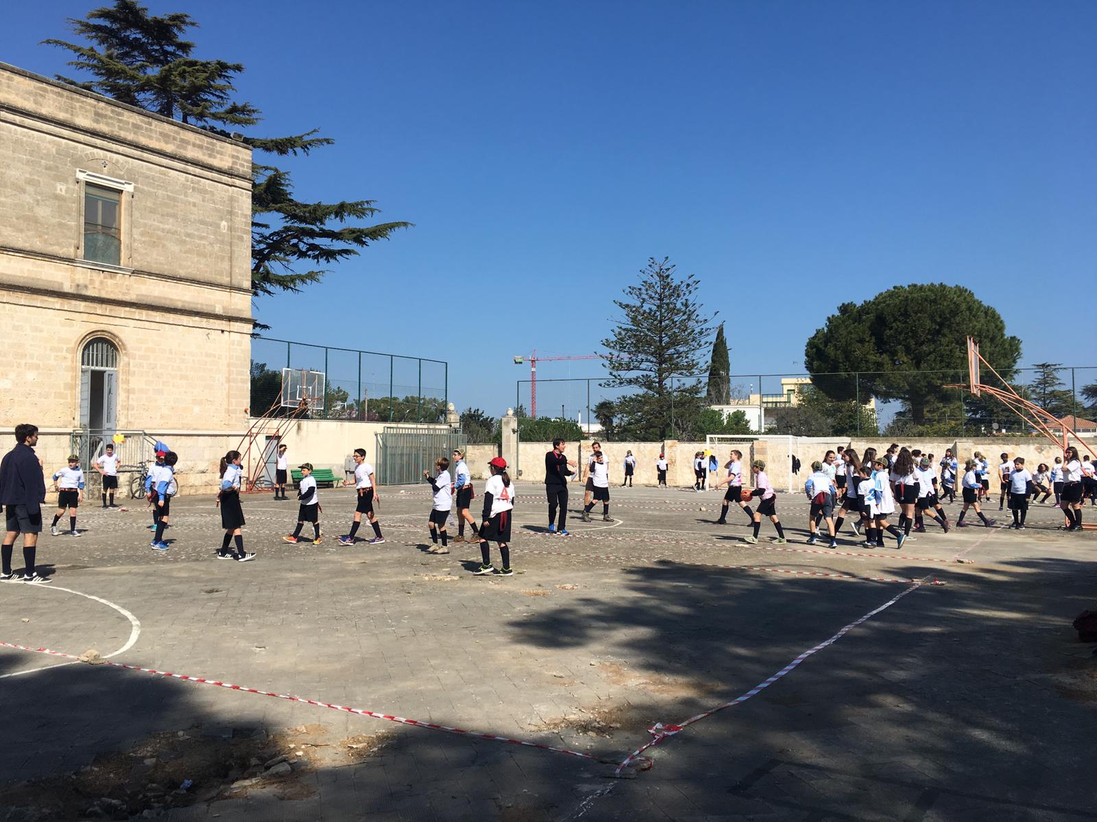 palla_scout3